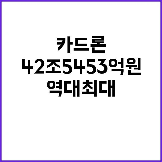 카드론 역대 최대 42조5453억원 불경기 속 등장!