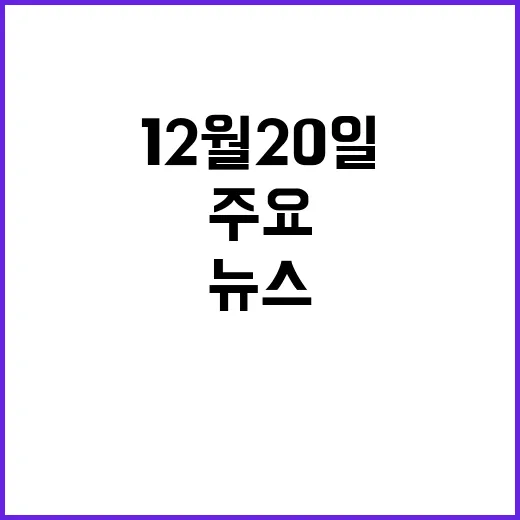 뉴스현장 12월 20일의 주요 사건들 공개!