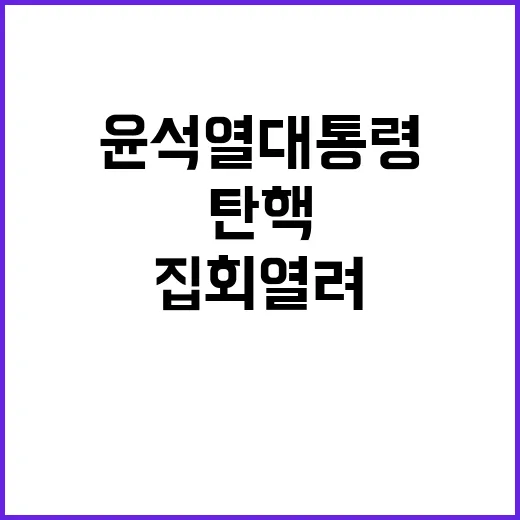 윤석열 대통령 주말 도심 탄핵 집회 열려!