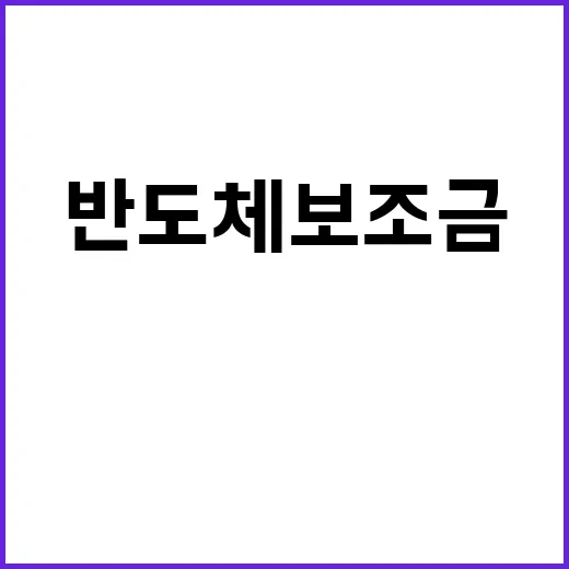 반도체 보조금 26% 감액…미국의 진짜 의도?