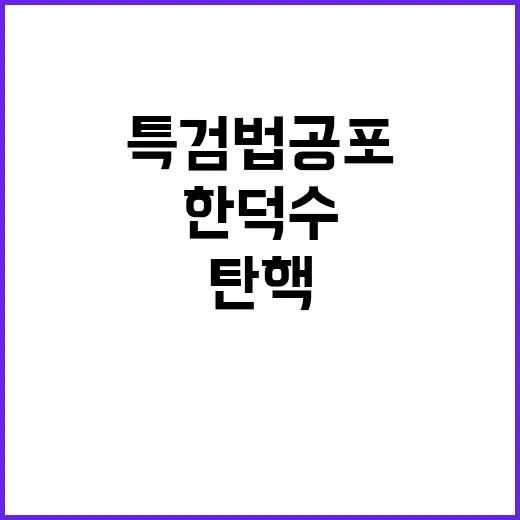 민주 한덕수 탄핵 경고! 특검법 공포 시한