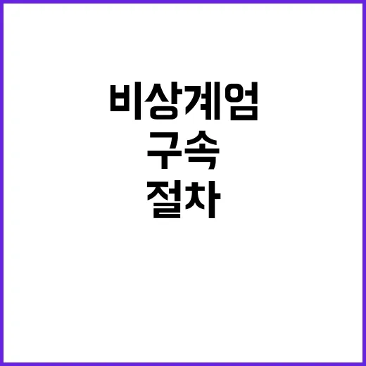 법원 비상계엄 구속 절차 계속 진행 중!