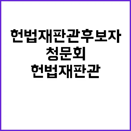 헌법재판관 후보자 …