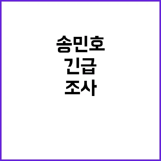 송민호 논란 서울시…