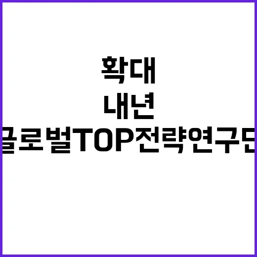 글로벌 TOP 전략…