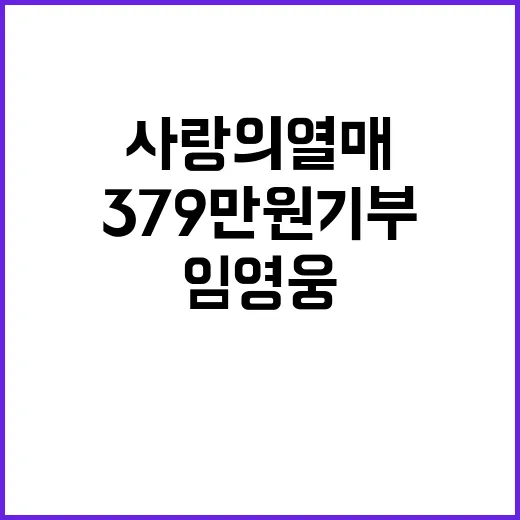 사랑의열매 임영웅 팬클럽 379만원 기부 사실!