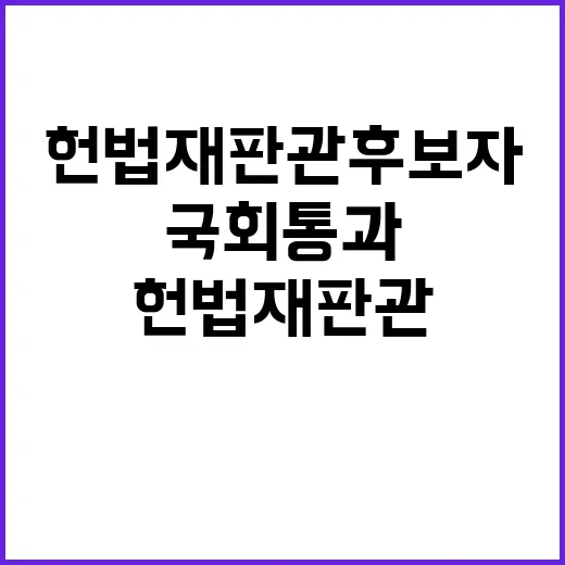 헌법재판관 후보자 …