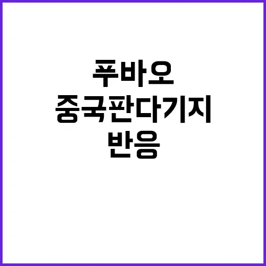 푸바오 팬들 중국 판다기지 의혹에 충격 반응!