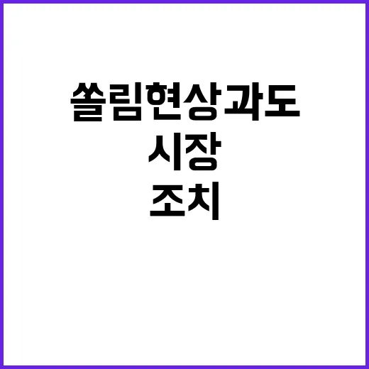 금융시장 점검 쏠림현상 과도한 조치 필요!