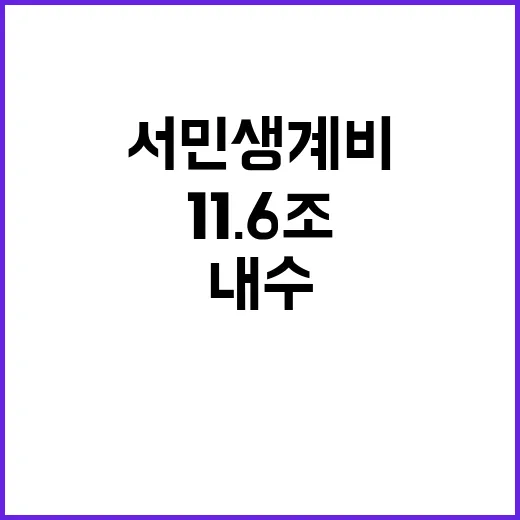 내수 살리기 11.6조 투입 서민 생계비 걱정?