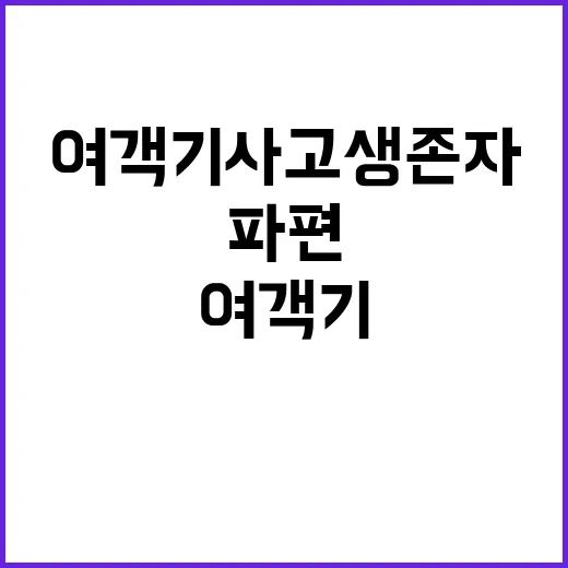 여객기 사고 생존자 굉음과 파편 충격적 경험