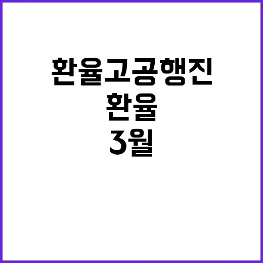 환율 고공행진 내년 3월까지 널뛰기 예상!