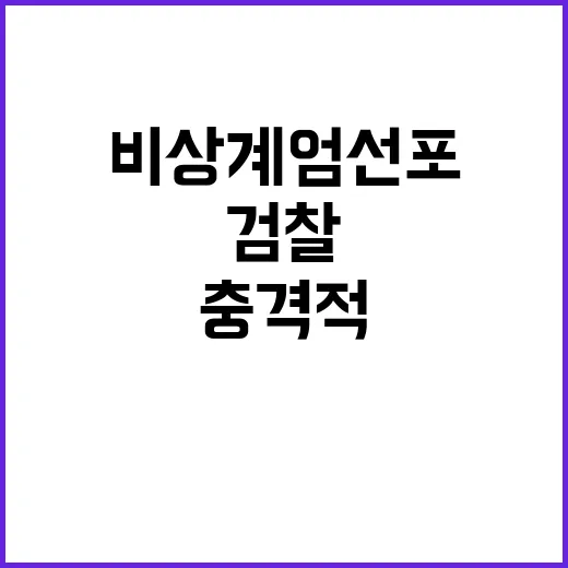 비상계엄 선포 검찰의 충격적 폭동 인정!