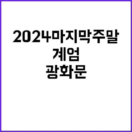 계엄 광화문 분열! 2024 마지막 주말의 충격