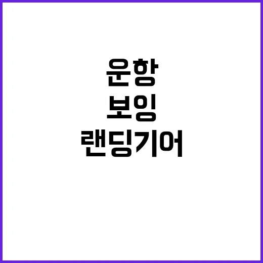 보잉 737800 랜딩기어 문제로 운항 차질 발생!