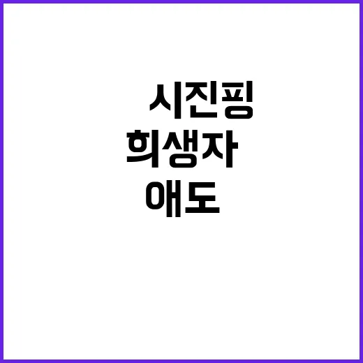 희생자 애도 中 시진핑·日 이시바의 메시지