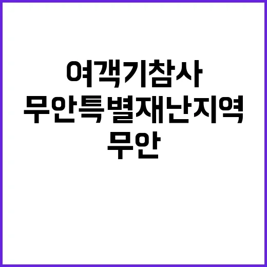 ‘여객기 참사’ 무안 특별재난지역 뭐가 문제?