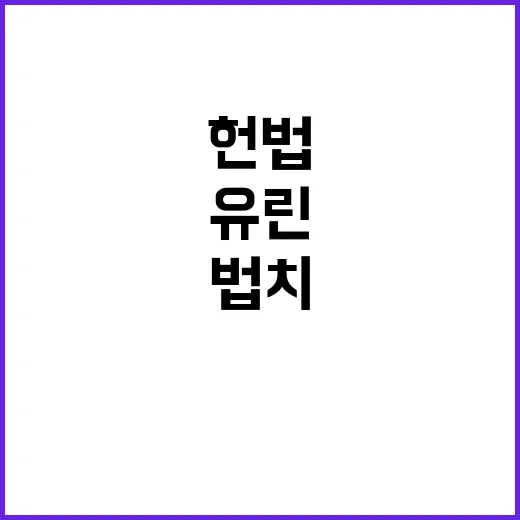 법치 유린 헌법 무시한 이들의 뻔뻔함!