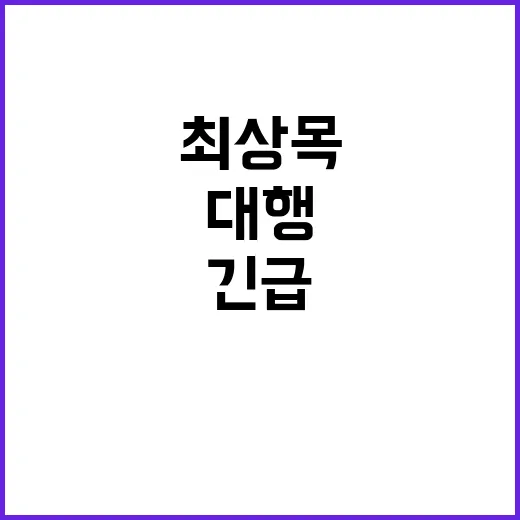 “무안공항 사고” 대처 위한 최상목 대행의 긴급 지시!