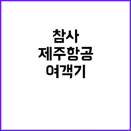 제주항공 참사 737800 여객기 기종 확인!