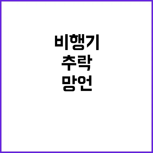 “추락 비행기 알바…