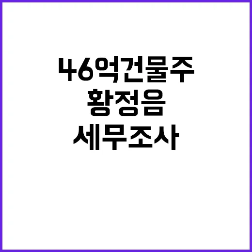 ‘46억 건물주’ 황정음 세무조사 결과 공개！