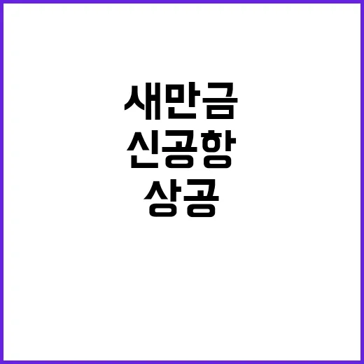 새만금 상공 새떼 충돌 지방 신공항 안전?