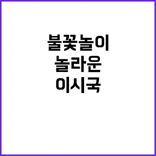 불꽃놀이 이 시국의 놀라운 반전!