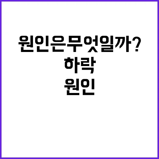 코스피 올해 10% 하락의 원인은 무엇일까?