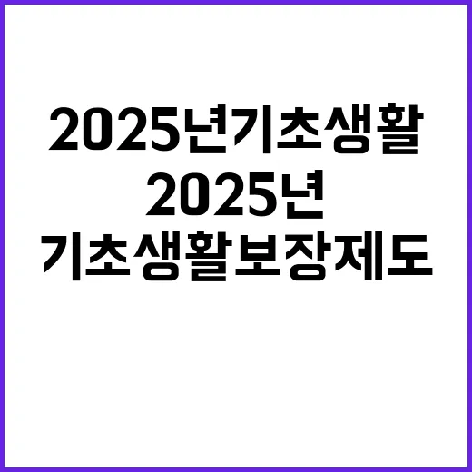 2025년 기초생활보장제도 대전 대덕구 변화 예고!