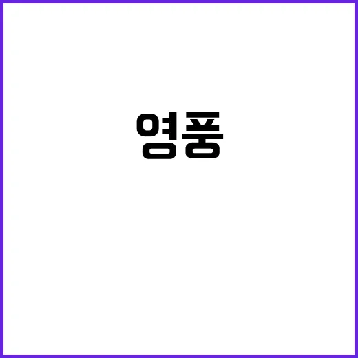 MBK 영풍 고려아연 가처분 신청의 배경 공개!