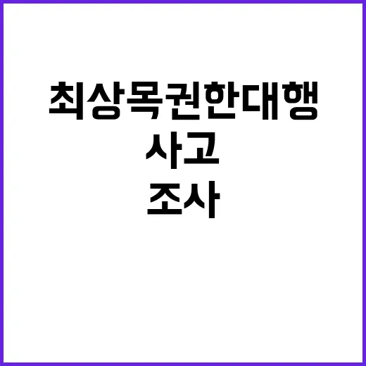 최상목 권한대행 사고 조사 투명성 확보 약속!