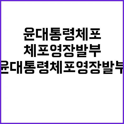 윤 대통령 체포영장 발부 누구의 책임인가?