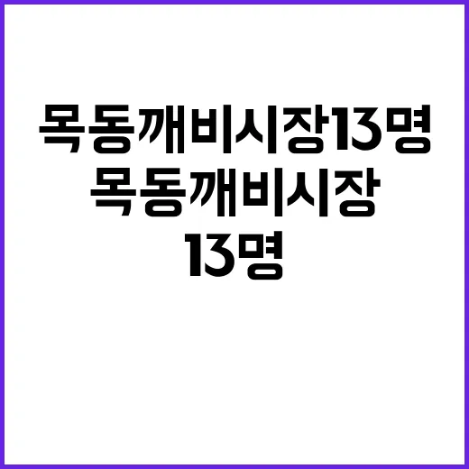 목동 깨비시장 13명 충돌 후 의아한 반응!