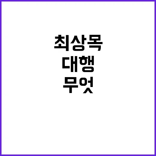 최상목 대행체제 새해 급한 과제는 무엇인가?