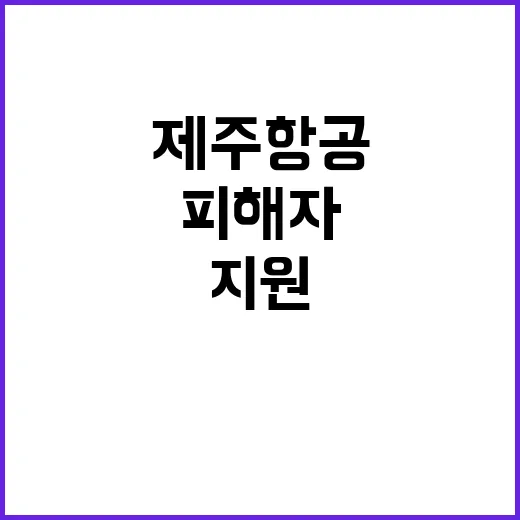 법률서비스 제주항공 피해자 지원의 긴급 조치!