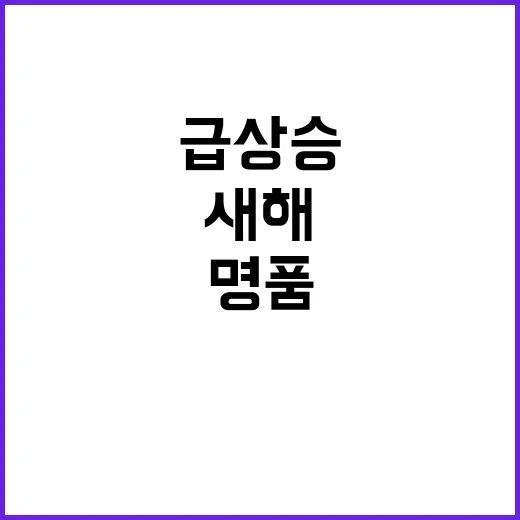 명품 값 새해 벽두부터 급상승 예고!