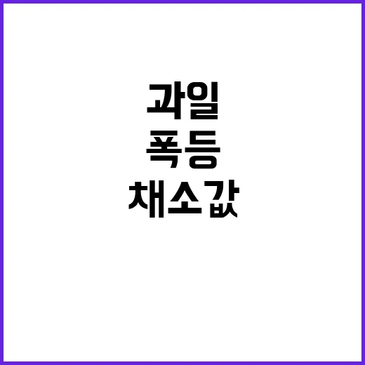 과일·채소값 폭등 소비자 충격 반응은?