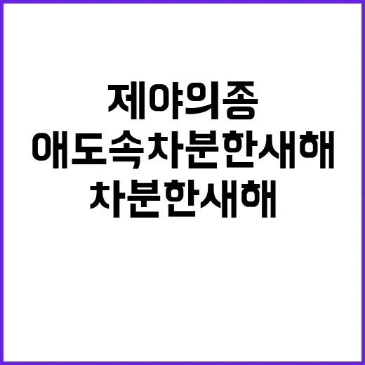 ‘제야의 종’ 애도 속 차분한 새해 첫 날