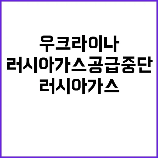 우크라이나 러시아 가스 공급 중단 이유는 무엇?