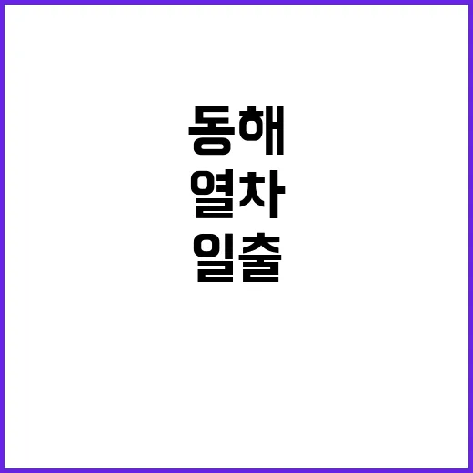 동해 일출 강릉행 열차에서 놓치지 마세요!