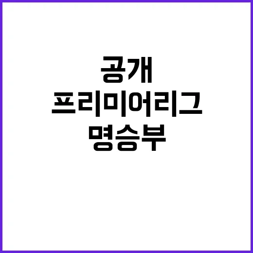 사우스햄튼 프리미어리그 최고의 명승부 공개!