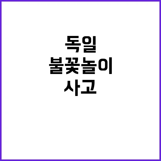 독일 불꽃놀이 사고로 5명 사망 소식!