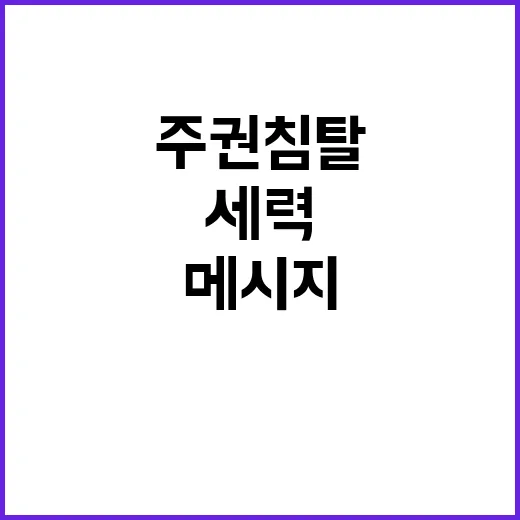 주권 침탈 세력 윤 대통령의 반격 메시지 공개!