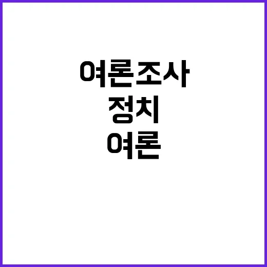 여론조사 정치 격변기 사람들의 선택은?