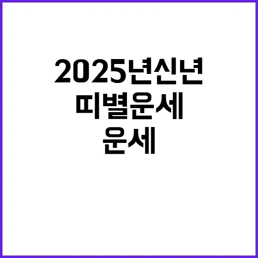 운세 띠별 운세 공개! 2025년 신년특집 확인하세요!