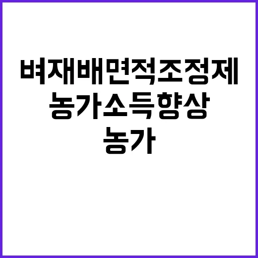 벼 재배면적 조정제 농가소득 향상 기회!