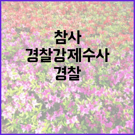 참사 원인 경찰 강…