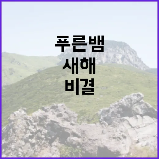 푸른 뱀 새해 건강 비결 공개! 클릭하세요!