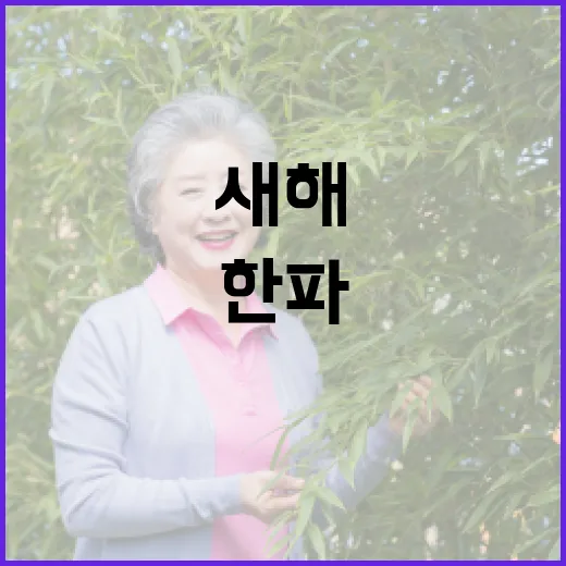 한파 경고! 새해 첫 출근 누가 준비했나?